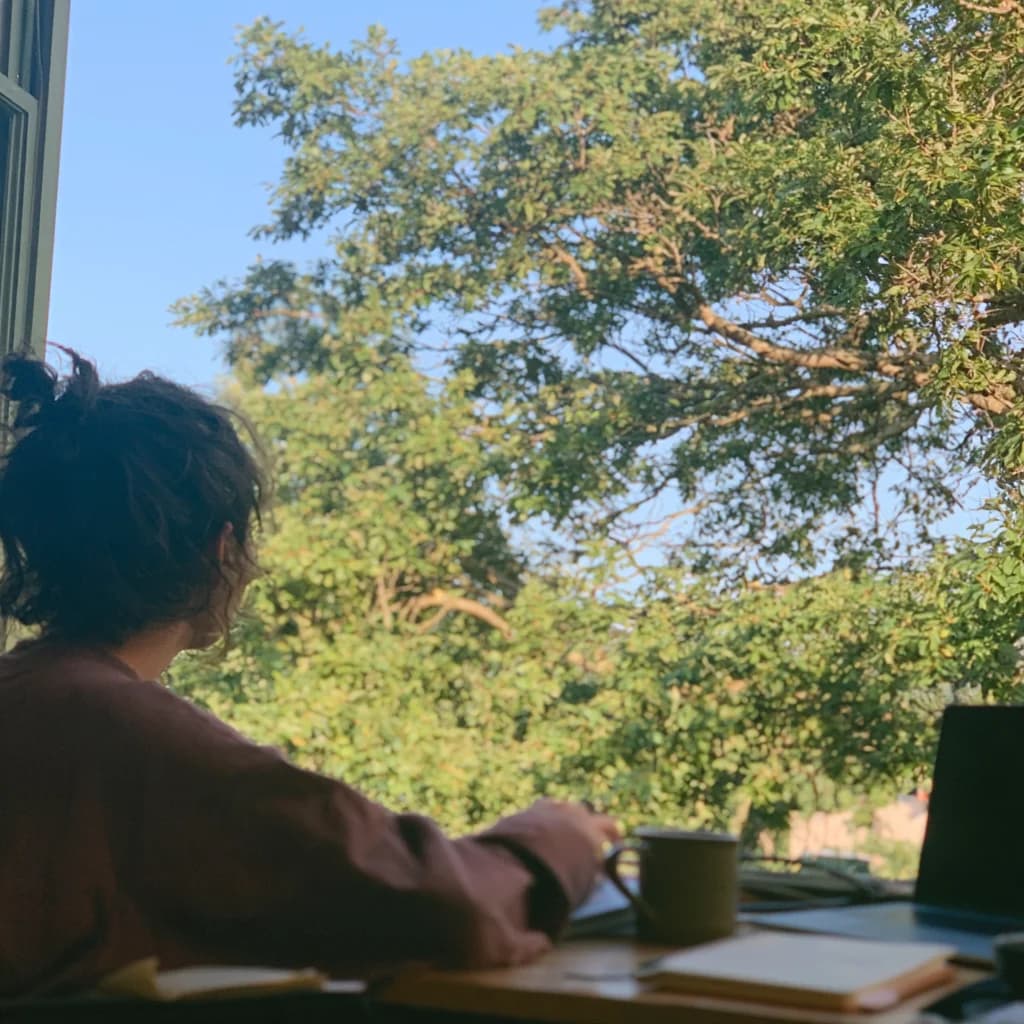 A pause at a desk beside an open window overlooking trees