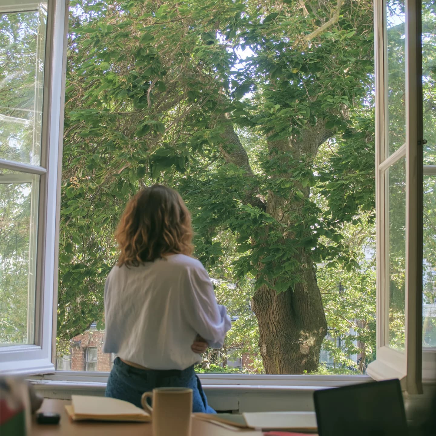 A person taking a break from their desk beside an open window and a leafy tree