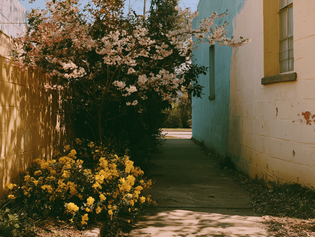 A sunlit city alley with cherry blossoms and yellow flowers