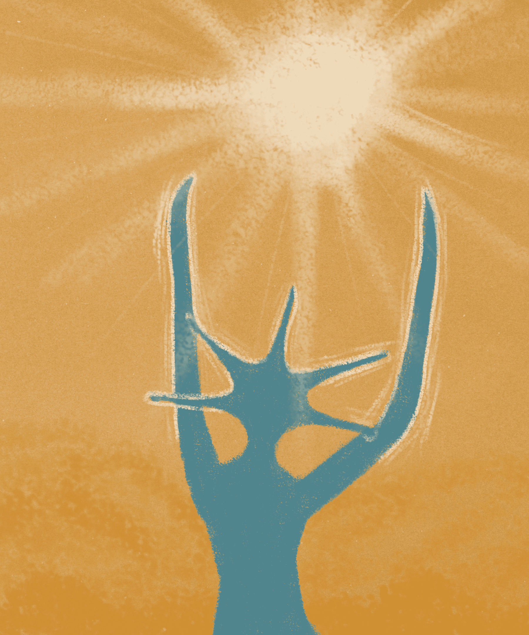 Seasonal Attunement