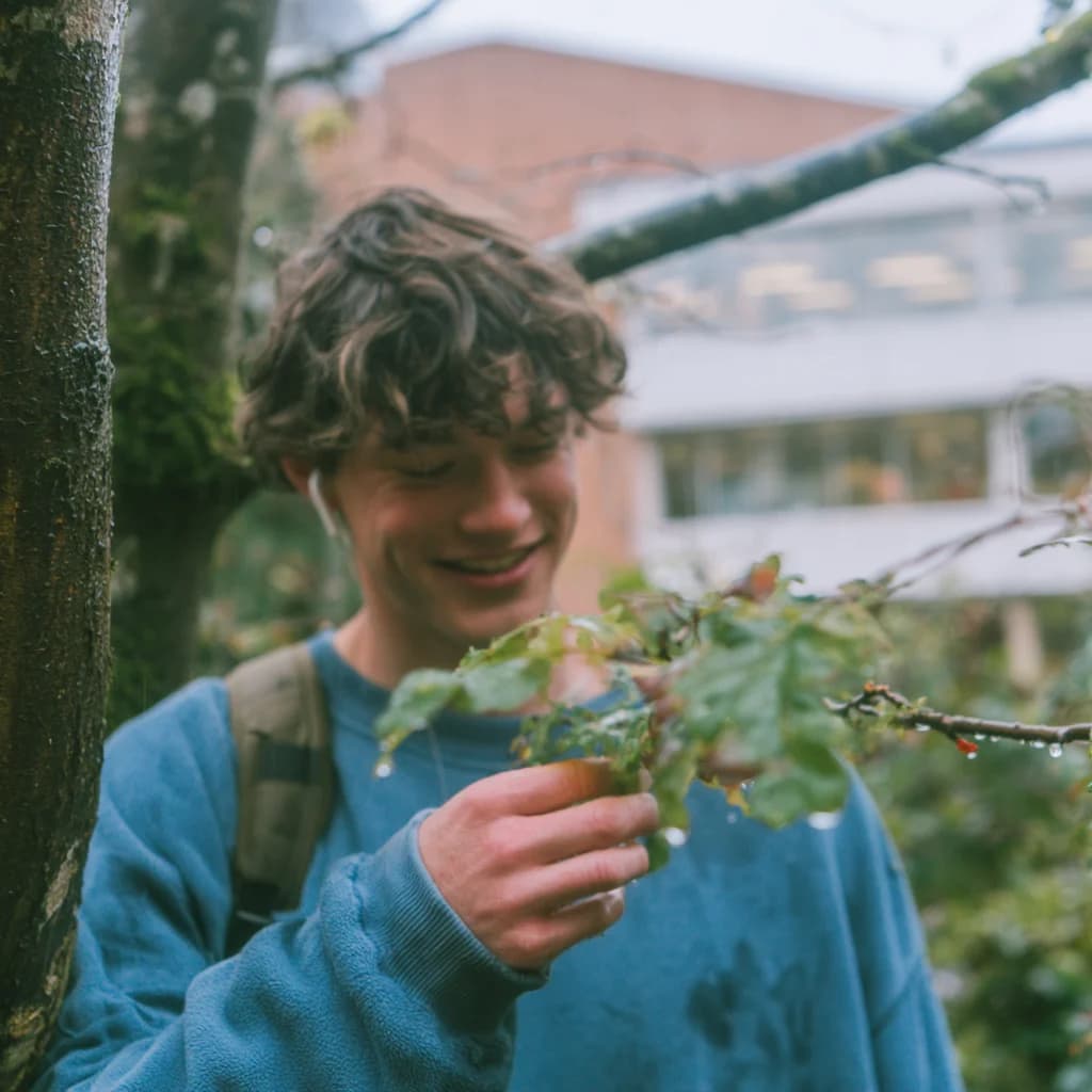 A student noticing rain droplets on leaves beside a campus building.